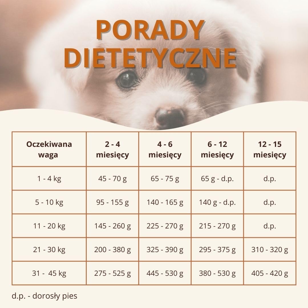 Wildfang® Junior Sucha Karma dla Szczeniąt 2kg – Karma dla Psa z Kurczakiem i Indykiem, Bez Zbóż i Glutenu, Z Naturalnych Składników, Bez Dodatku Cukru, Sucha Karma dla Małych Psów – 1 Sztuka