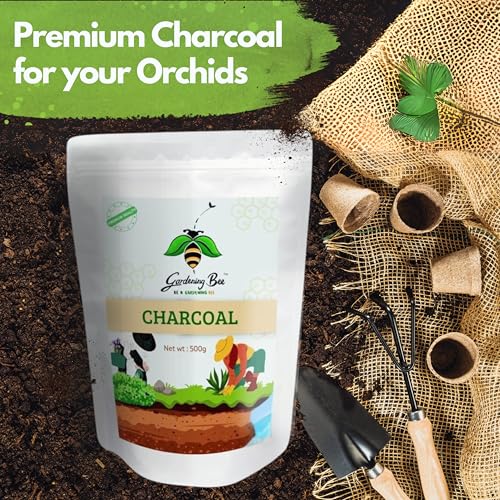 Image of Wood Based Activated Charcoal (2kg) for Orchid Potting, anthurium Plants, Horticultural Grade, Grilling, Barbecue (Charcoal, 2kg)