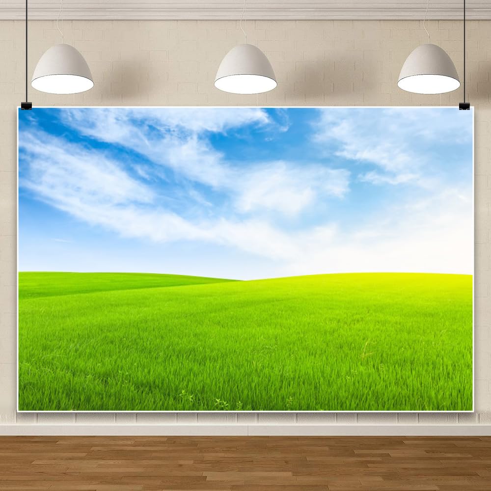 6 x 3 m pola zielone trawniki tło wiosenne łąki przezroczyste niebieskie niebo białe chmury wschody słońca fotografia tło na zewnątrz noworodek baby shower tło ślub urodziny przyjęcie