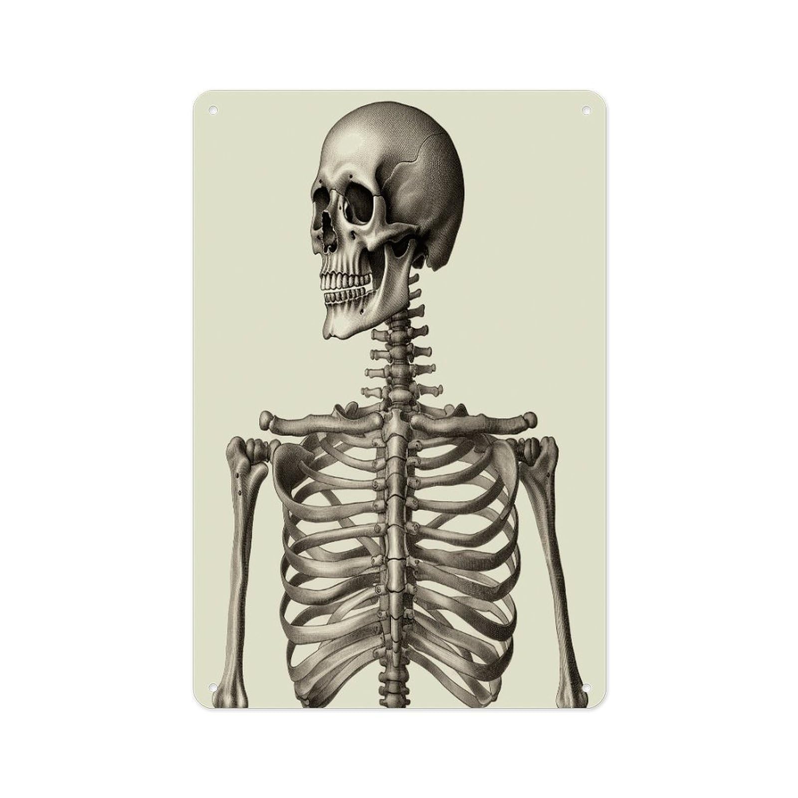 Fekiloot Style Human Skeleton Wall Decor Metal Signs Tin Signs Poster