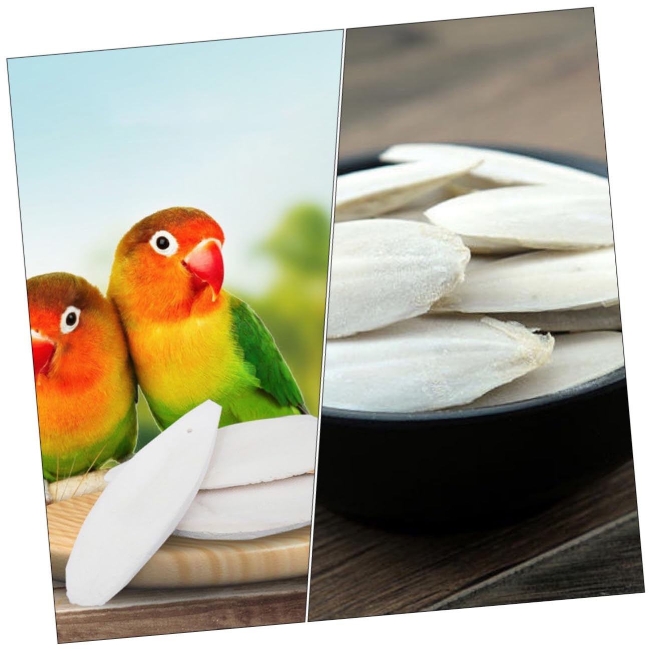 BESPORTBLE 36ensembles Jouets à Mâcher De Seiche pour Hamsters Et Oiseaux avec Support Métallique pour Dents Petits Animaux