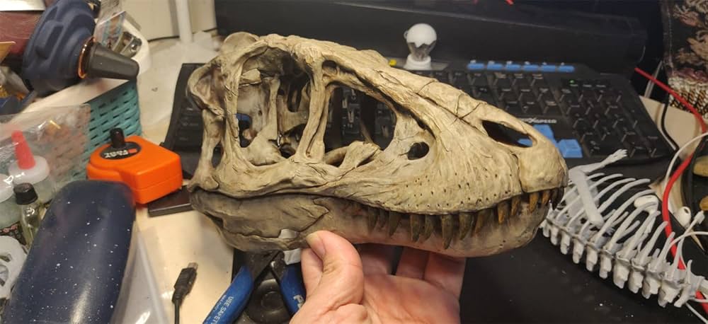 木彫　恐竜　メラクセス　頭骨模型1/10 スケール 木彫 恐竜 メラクセス 頭骨模型1/10 スケール （木彫 恐竜