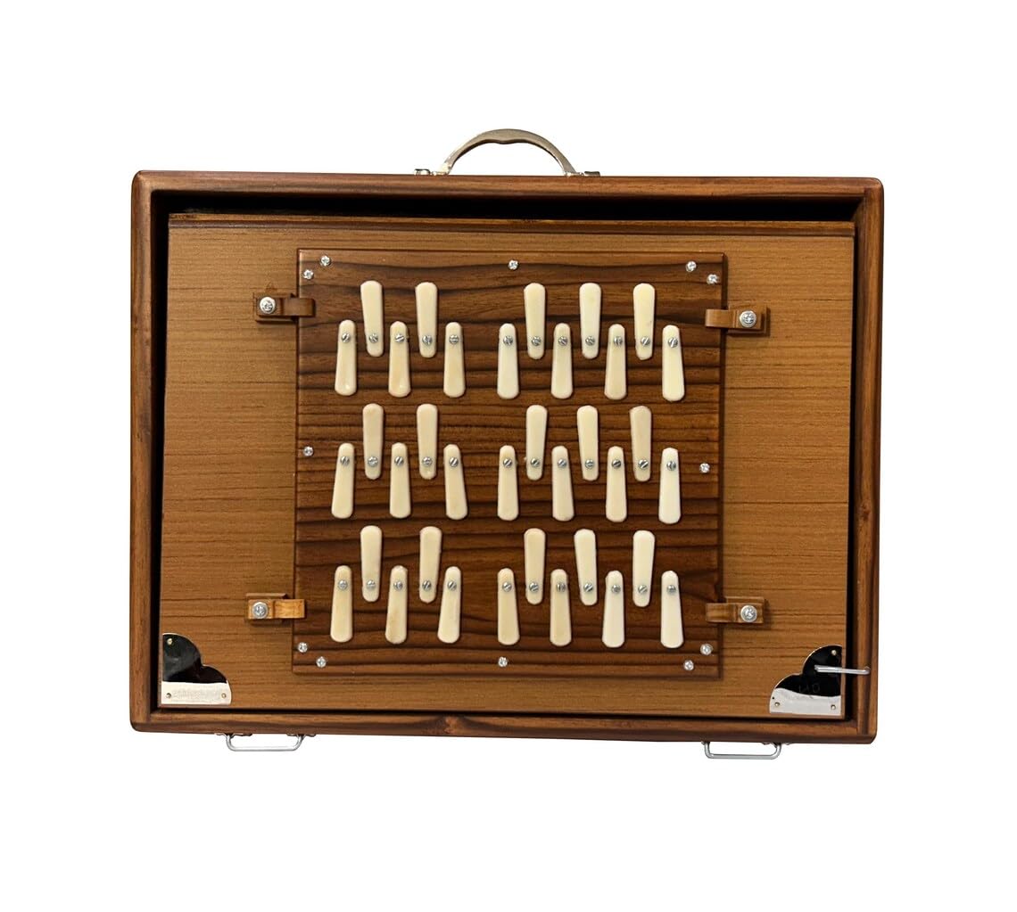 3 octaves Shruti Box en bois de teck pour méditation, thérapie par le son, yoga, Shruti Box avec sac de transport