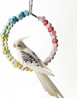 Yuâ€™s north Bird Parrot Toys Ladders Swing Chewing Hanging Pet Cage Accessories Hammock Toy for Small Parakeets Cockatiels, Lovebirds, Conures (Macaron Color Ladder 10 Step), grey