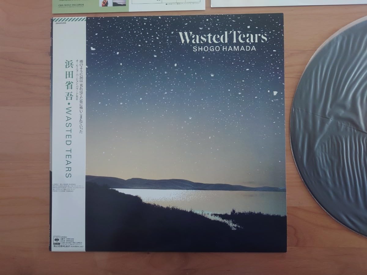 Amazon.co.jp: 浜田省吾WASTED TEARS帯付（帯裏面傷み）LPレコード 