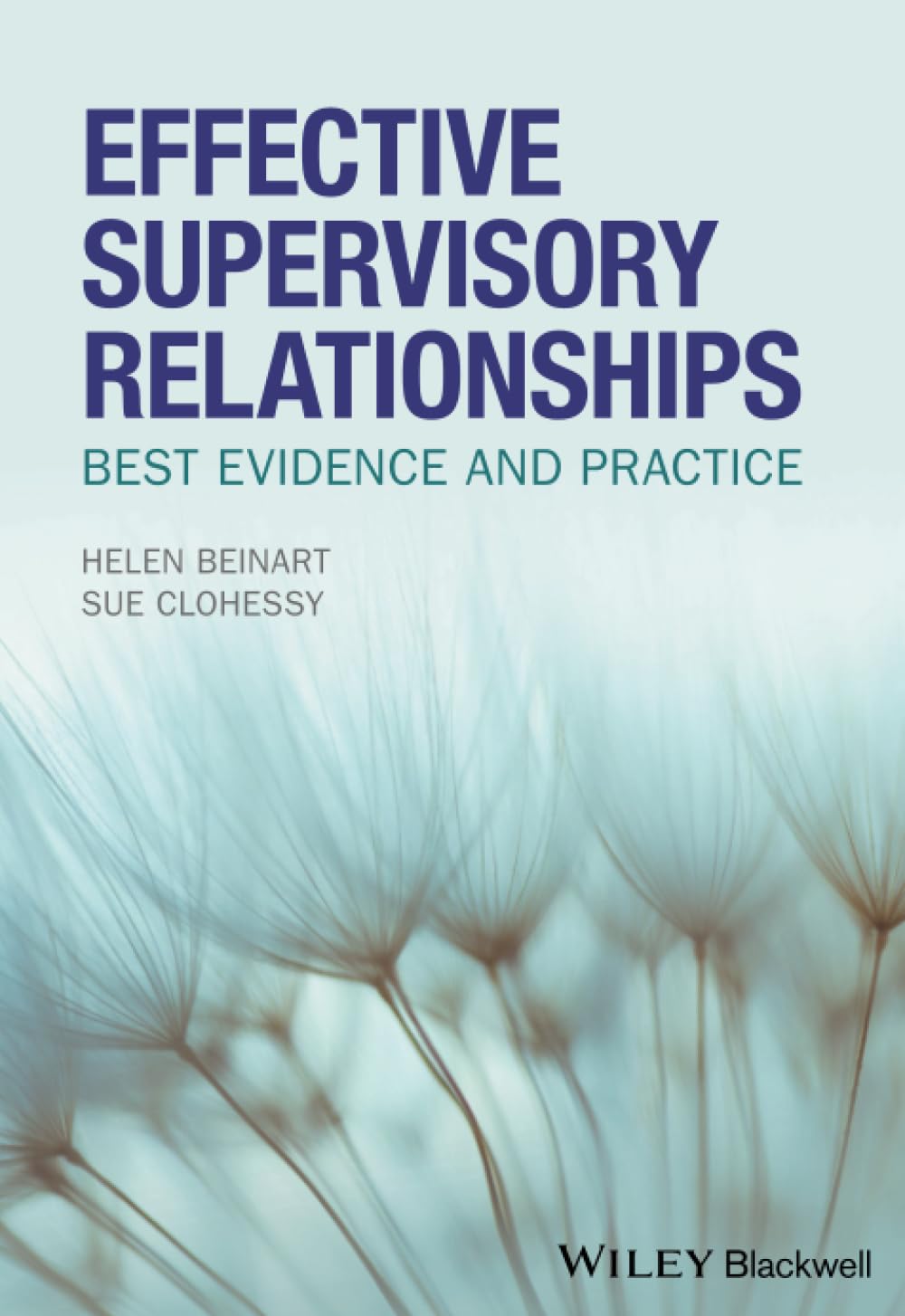 Effective Supervisory Relationships: Best Evidence and Practice