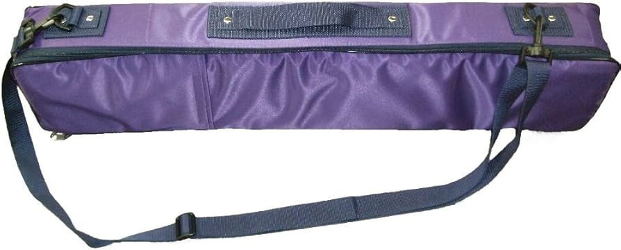 Amazon | ゼンオン 大正琴セミハードケース SH-85 PUL | 弦楽器ケース