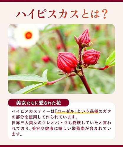 温活農園 ローズヒップハイビスカスティー 2g×30包