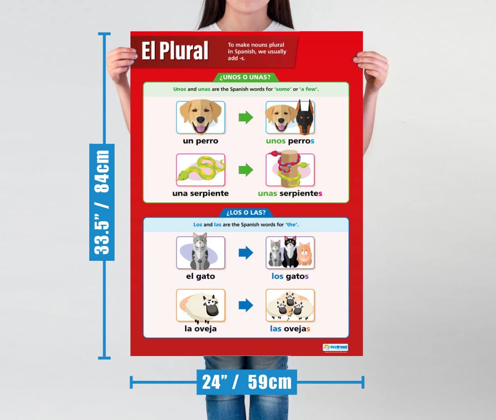 L'Alphabet Lern-Poster A1 (850 X 594 Mm) – Farbig, Laminiert, Für Klassenzimmer & Zuhause
