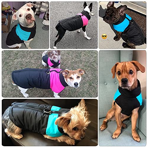 LUNYY Winter-Hundekleidung Haustiermantel Welpenjacke Französische Bulldogge Weste wasserdichte warme Kleidung für kleine große Hunde
