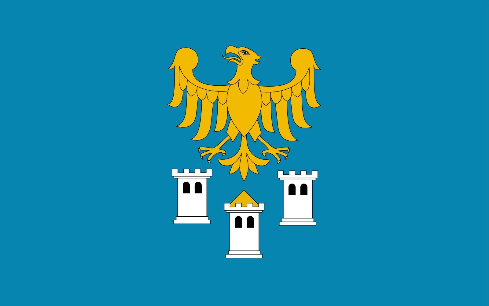 Drapeau POL powiat gliwicki grand format pour mât extérieur et intérieur