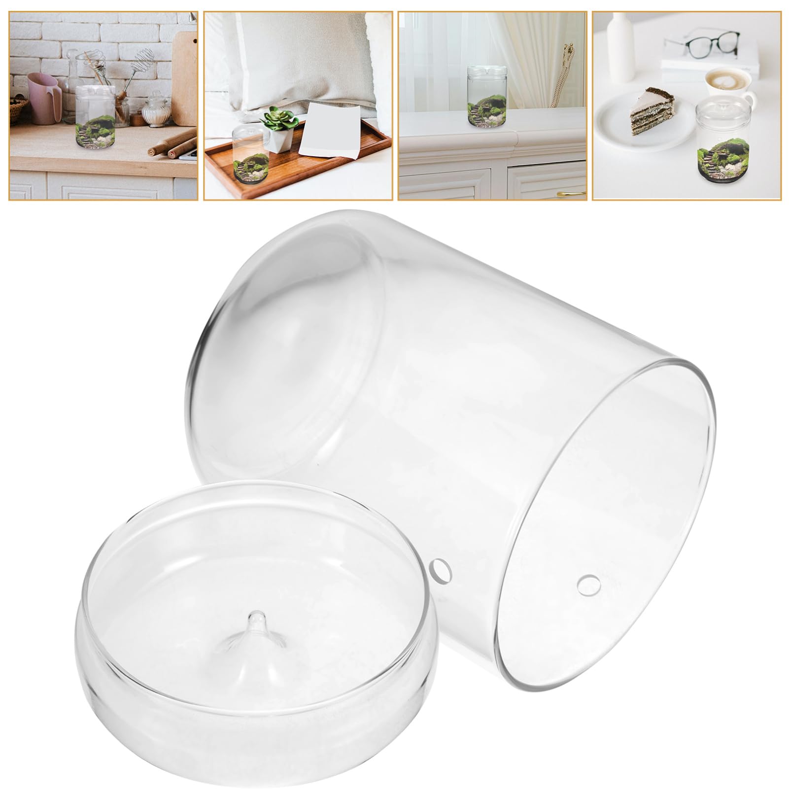 Happyyami Terrario in Vetro per Muschio e Piante, Vaso Micro-paesaggio Trasparente, Decorazione da Tavolo per Casa e Ufficio, Multiuso