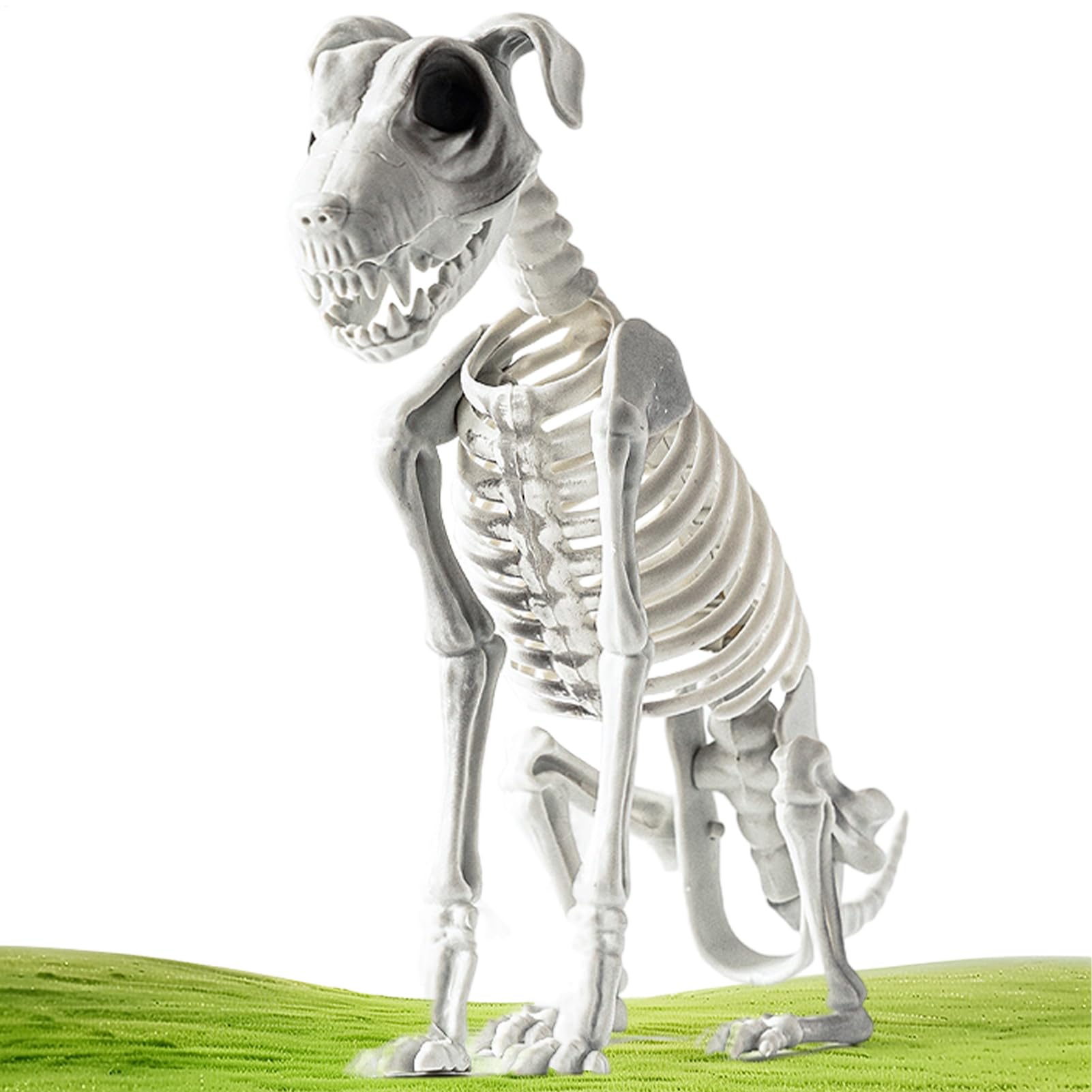 Perro Esqueleto Halloween De Hueso Espeluznante Perro Sentado Halloween | Figura Esqueleto Cachorro Escritorio para Hogar Dormitorio Apartamento Casa Encantada Oficina Porche