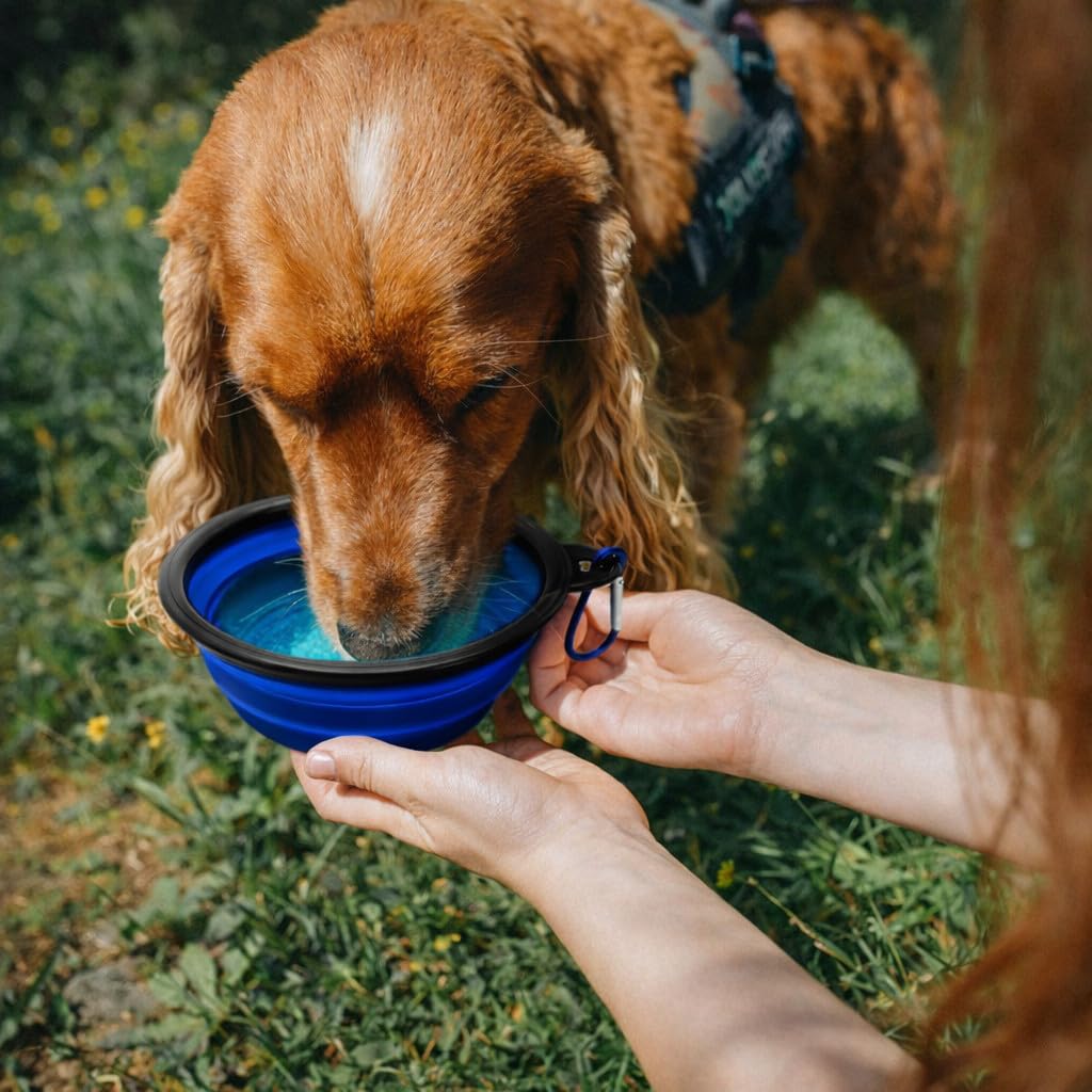 Cutie's PetBox Faltbarer Reise-Wasser- und Futternapf für Hunde und Katzen, 350 ml Volumen, volle Höhe 5,1 cm, Blau