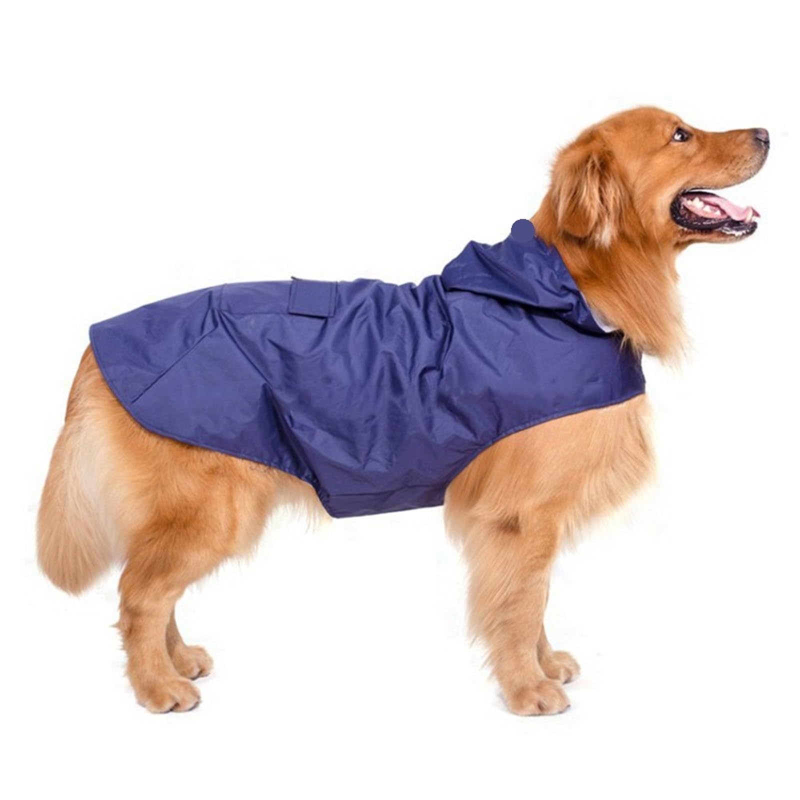 Poncho pour chien imperméable et réfléchissant fini les balades sous la pluie