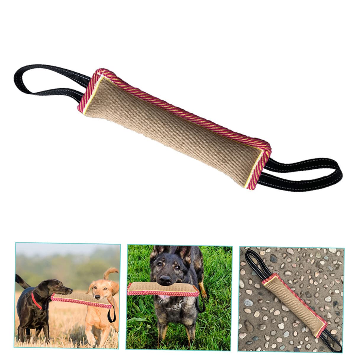 Sosoport 2pezzi Giocattolo Interattivo Per Cani Molar Morsetto Per Addestramento e Masticazione Resistente e Sicuro Per Allenamenti All Aperto e Giochi Di Masticazione Per Pet Dog