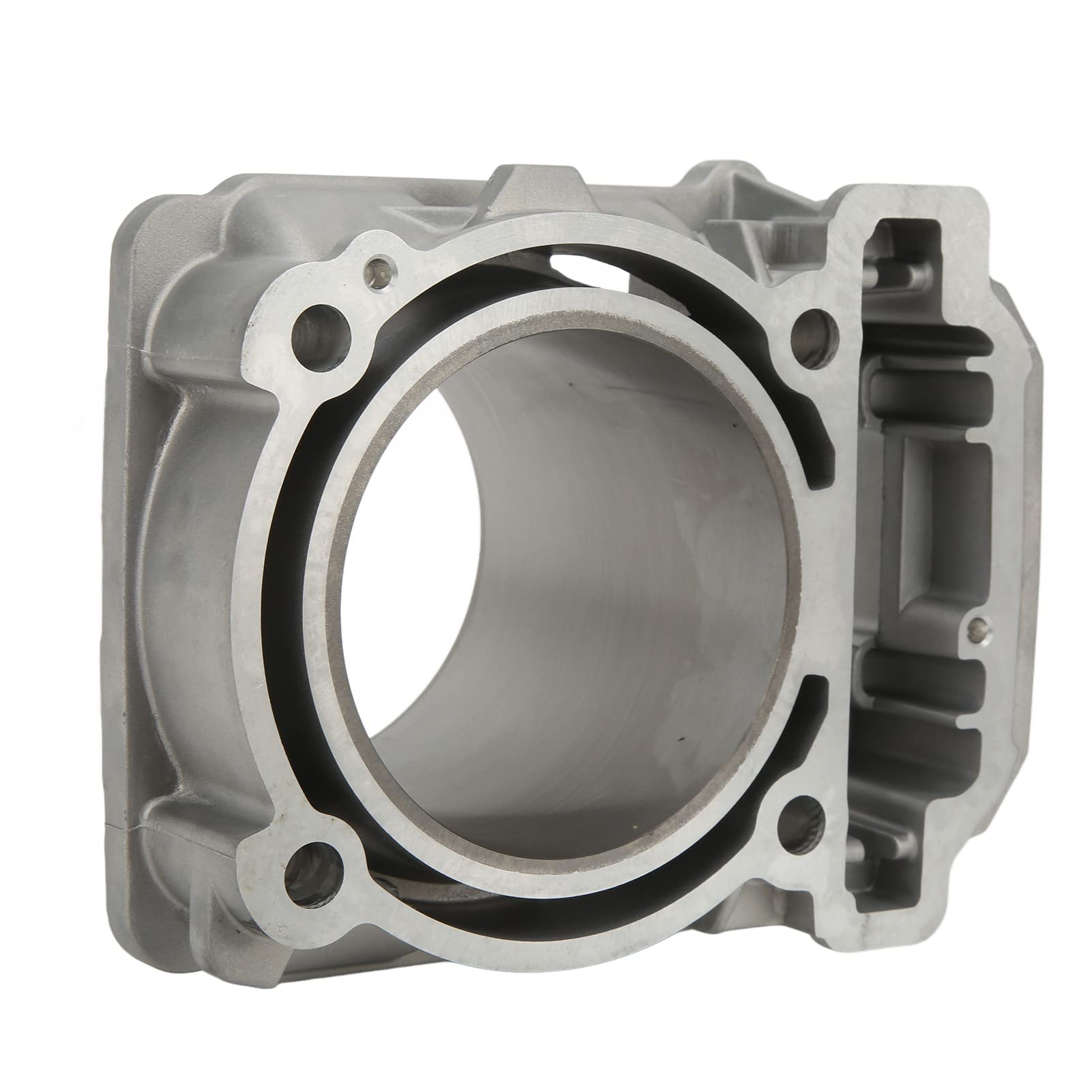 Kit Cilindro Motore, Pistone da 91 mm e Set Guarnizioni Compatibile con Can-Am Renegade 800 2007-2015, Componenti per Revisione e Ricostruzione del Gruppo Termico ATV