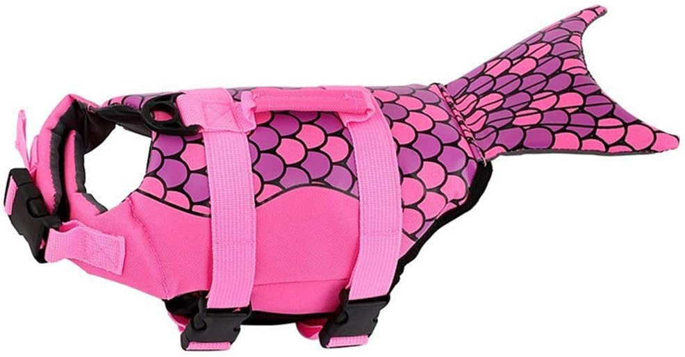 gilet da nuoto per cani