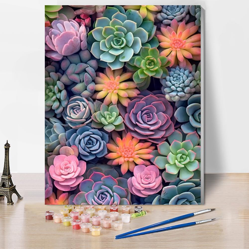 Jakener Paint By Numbers-2 Succulents Paint By Numbers For Adults With Frame,Painting By Numbers For Adults Diy Paint By Numbers Kits For Home Wall Decor 12X16inch
