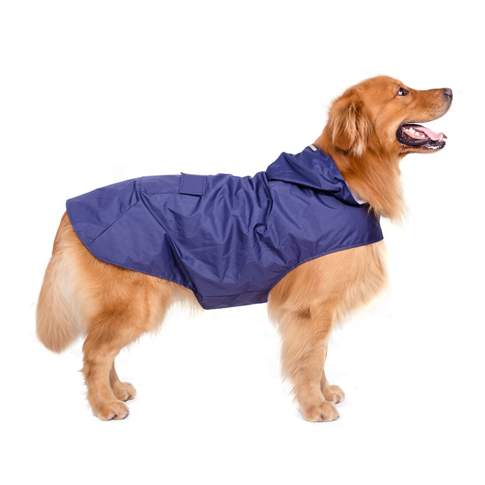 Kikbax Chien Imperméable À Capuche Veste Pet Vêtements De Pluie Vêtements en Plein Air Chiens Imperméable Accessoires (Color : Blue, Size : 6XL)