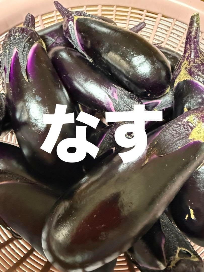 漆器のアソベ懐石道具 極上千筋内朱3客揃 信玄弁当 三段弁当箱 朱輪