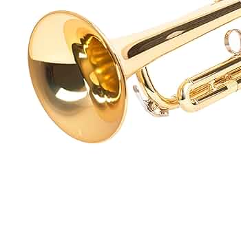 ゴールドトランペット 3バルブ付き Amazon | 初心者金管楽器 トランペット楽器 Bフラット三音