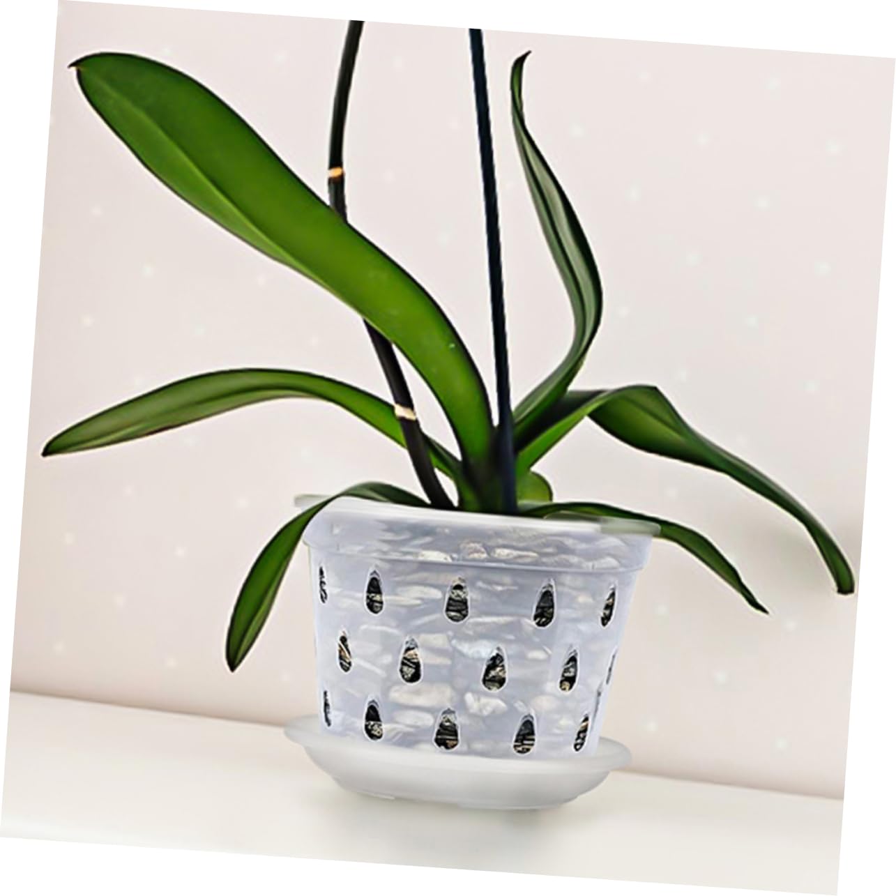 POPETPOP 15ensembles Pots à Orchidées Transparente avec Saucisses Plastique Pots Respirants à Drainage pour Plantes Orchidées Et