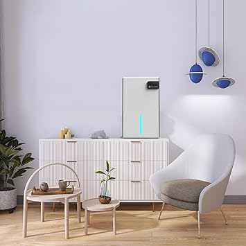 Foto del Deshumidificador