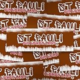 Fan-Kultur Xperience