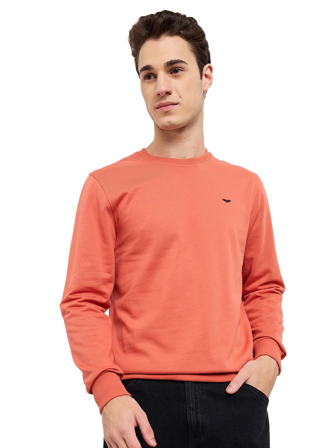 park avenue Men Full Sleeve Slim Fit Solid Pattern Cotton Polyester Blend Regular Neck Casual Sweatshirt-picture-32