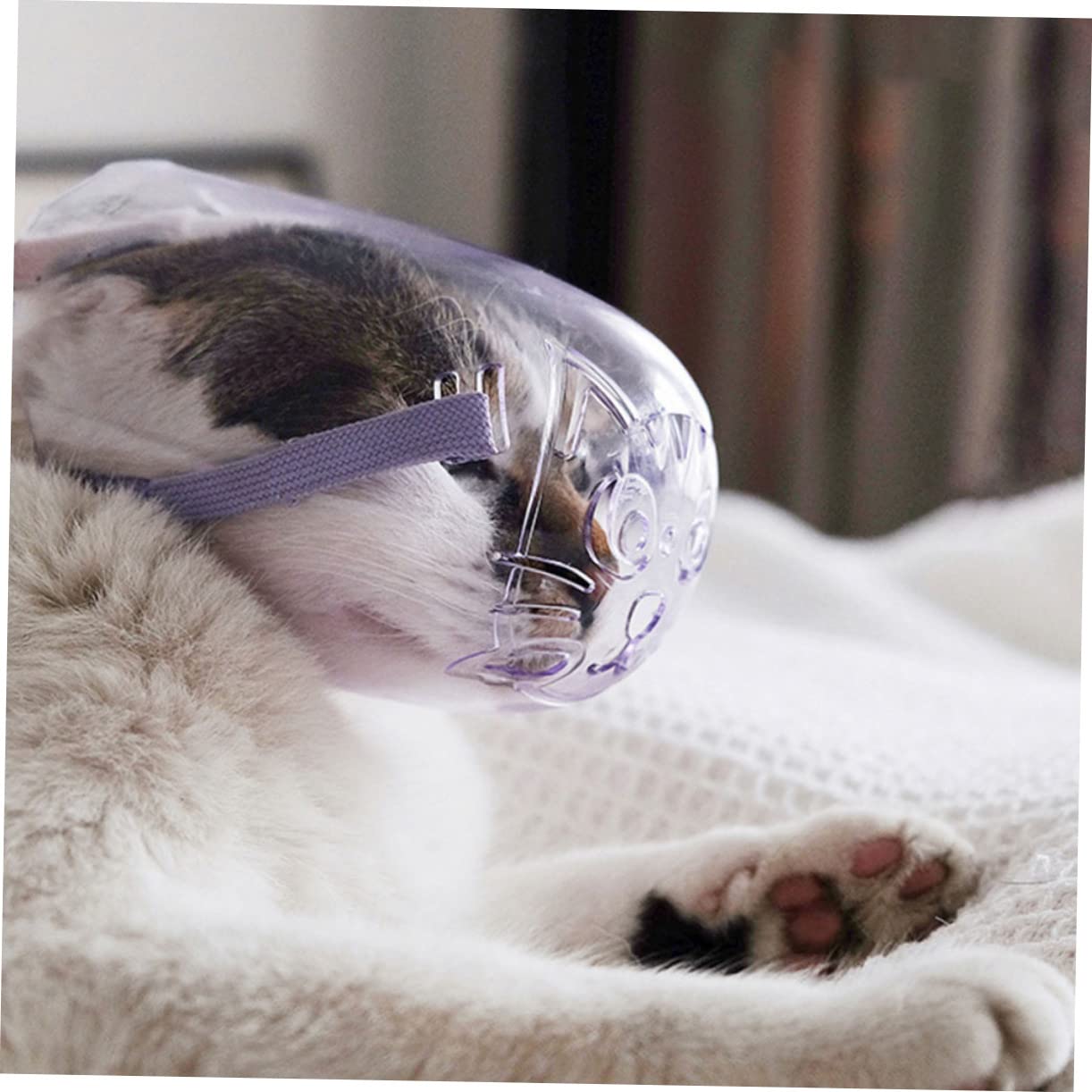 DOITOOL 5piezas Bozal para Gato y Transpirable para Controlar Mordeduras y Evitar Quejidos para Baños y Citas Veterinarias Material Resistente y Fácil De Limpiar