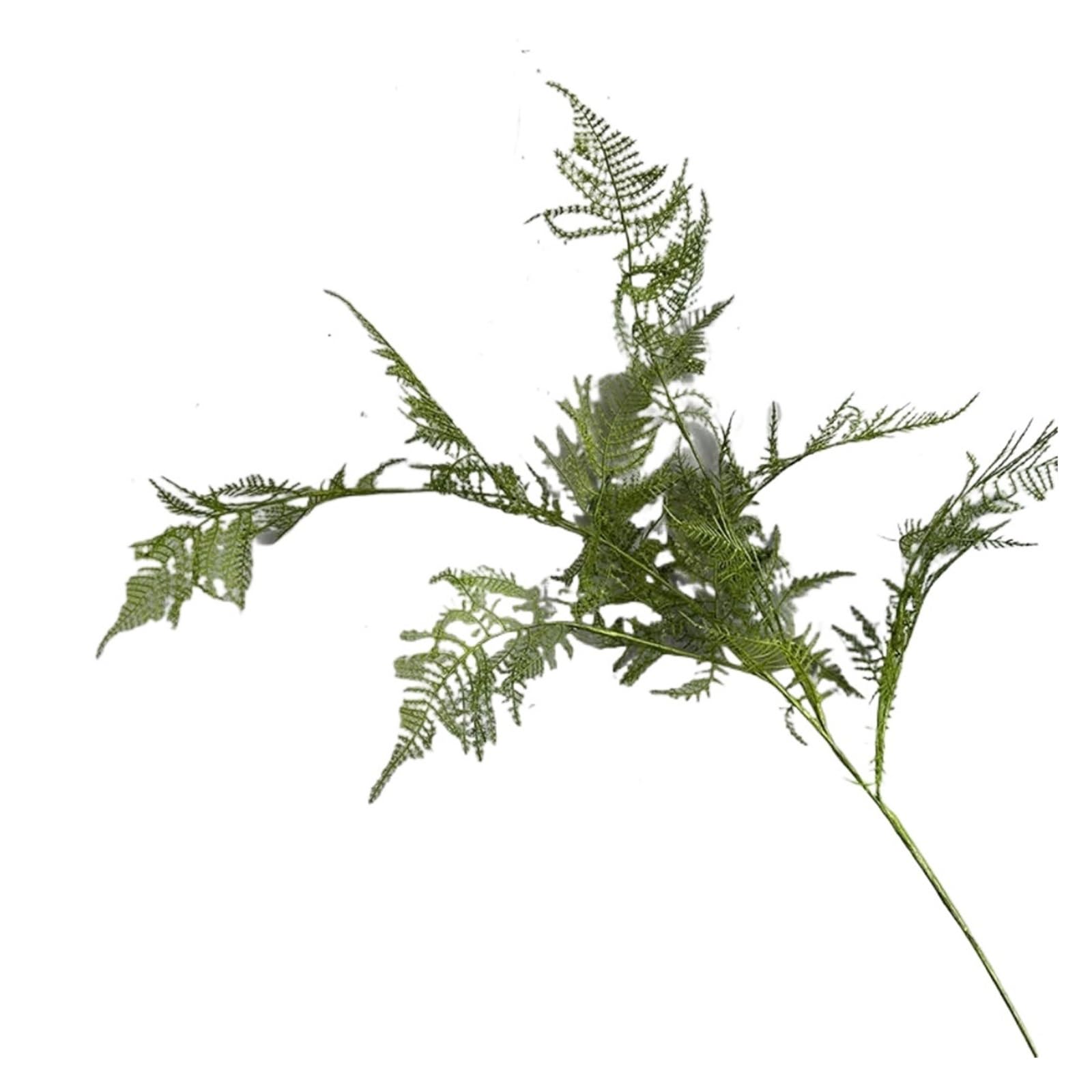 YGLEEULI Artificial Foliage Stems Large Artificial Fern Plant Branches Leaves Handmade Asparagus(Dark Green)