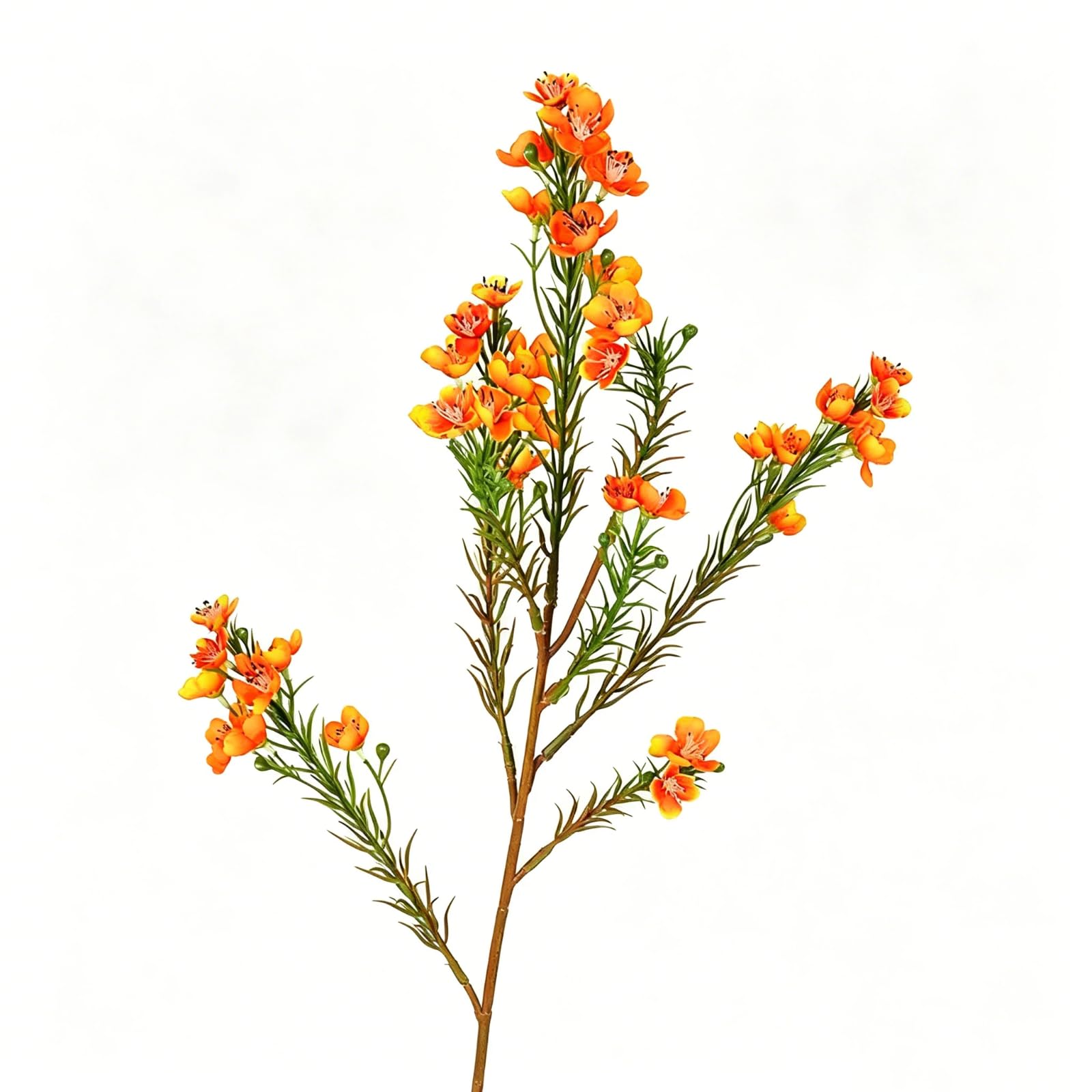 Ehuagzcoo Artificial Australian Wintersweet Flowers for Home Decoration and Wedding Silk Flower Arrangement