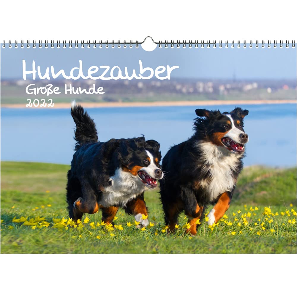 Dog Magic Large Dogs DIN A3 Calendar for 2022 Puppies and Dogs Seelenzauber