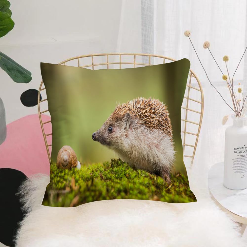 HYOSXW Cushion Cover,Throw Pillow Case Home Decorative for Living Room Bedroom Sofa Chair 16X16 Inch,Hedgehog and snail on the moss, cuteness in the forest,Pillowcase 40X40cm