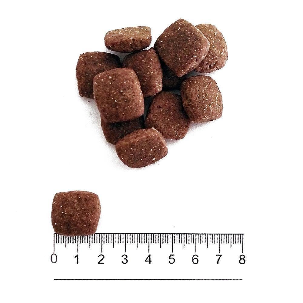 prolife Smart Wołowina Świeża I Ryż Dorosły M/L 12 kg