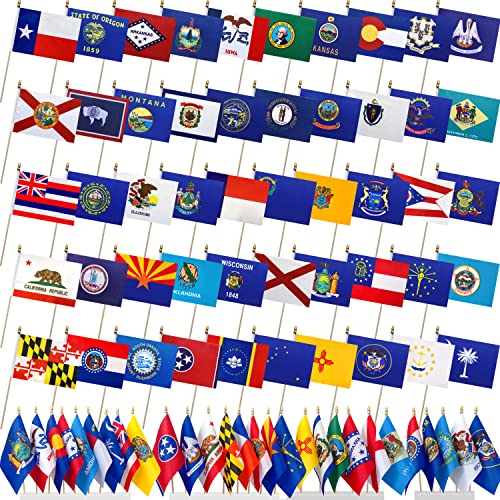 LyButty US 50 State Flags Set on Wood Stick Small Mini Hand Held Flags for Classroom,5x8 Inch