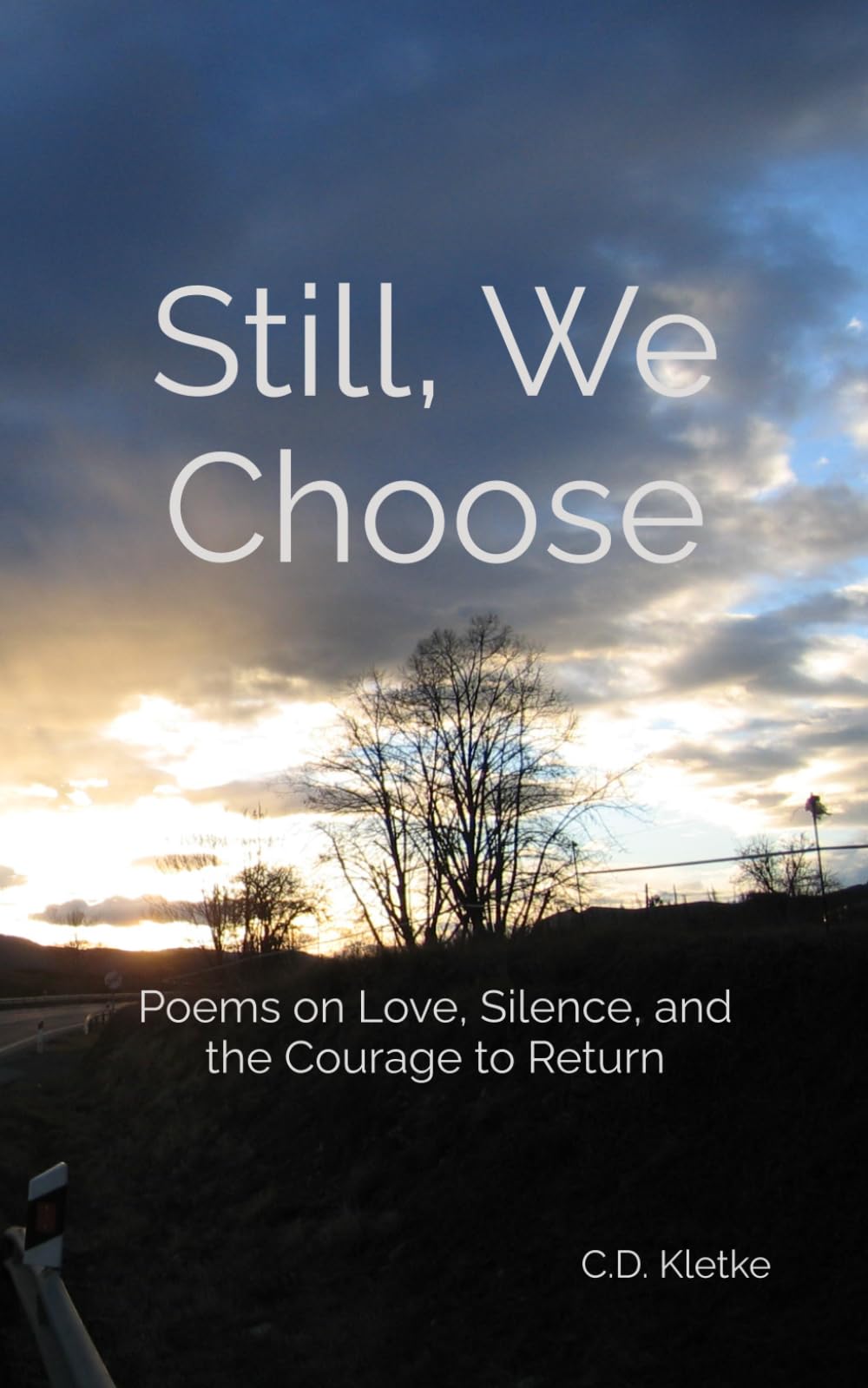 Still, We Choose: Poems on Love, Silence, and the Courage to Return