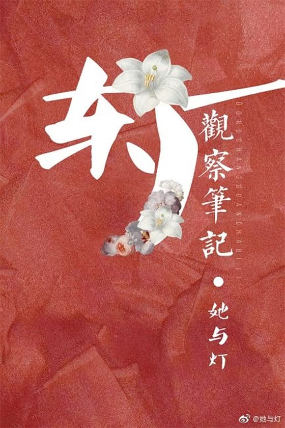 观鹤笔记 (Chinese Edition)