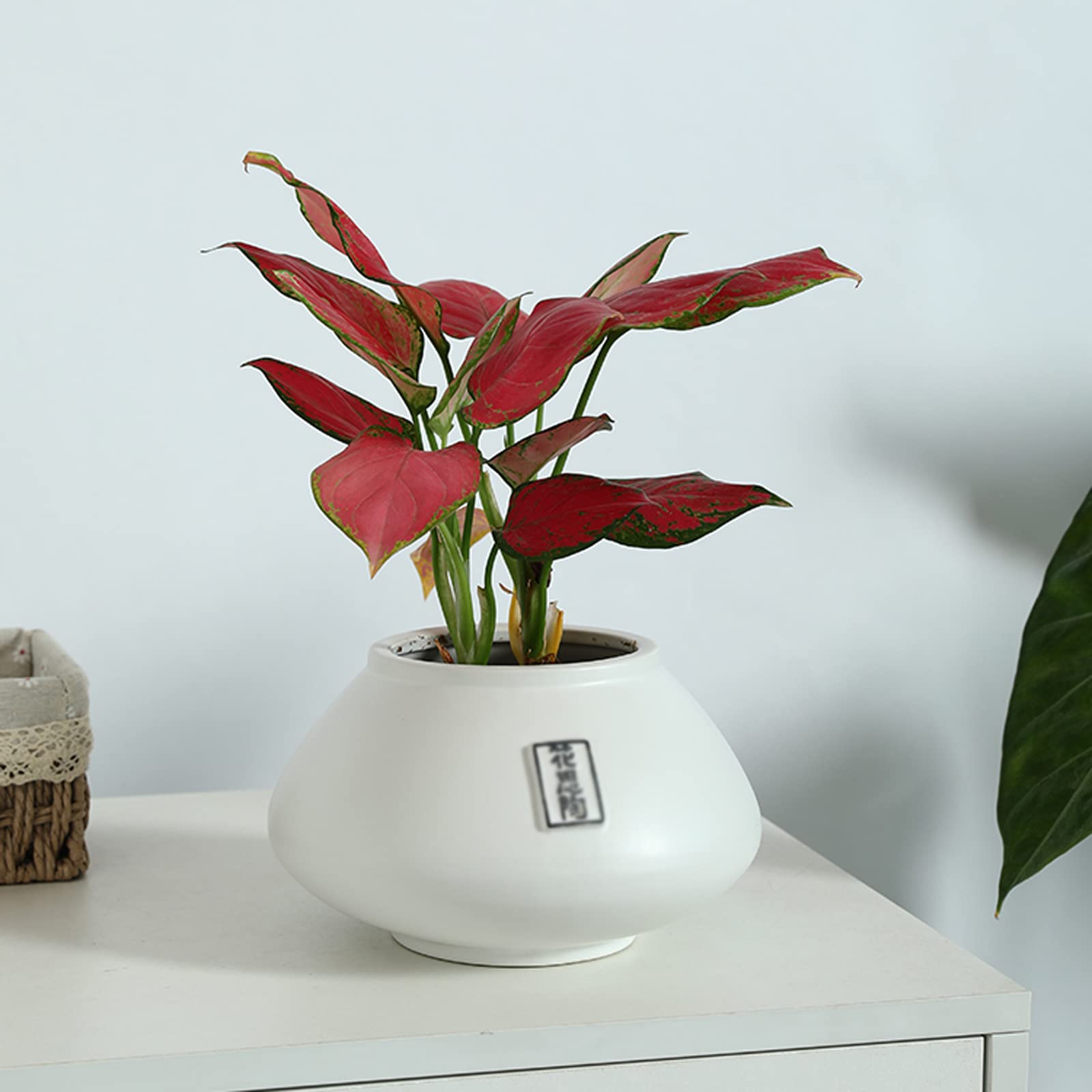 Vasi da Giardino Moderni vasi da Fiori Bianchi con Fori di drenaggio, Contenitore per Piante grasse in Ceramica per Interni ed Esterni
