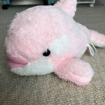 Amazon.co.jp: 鴨川シーワールドくじ シャチぬいぐるみ2体セット