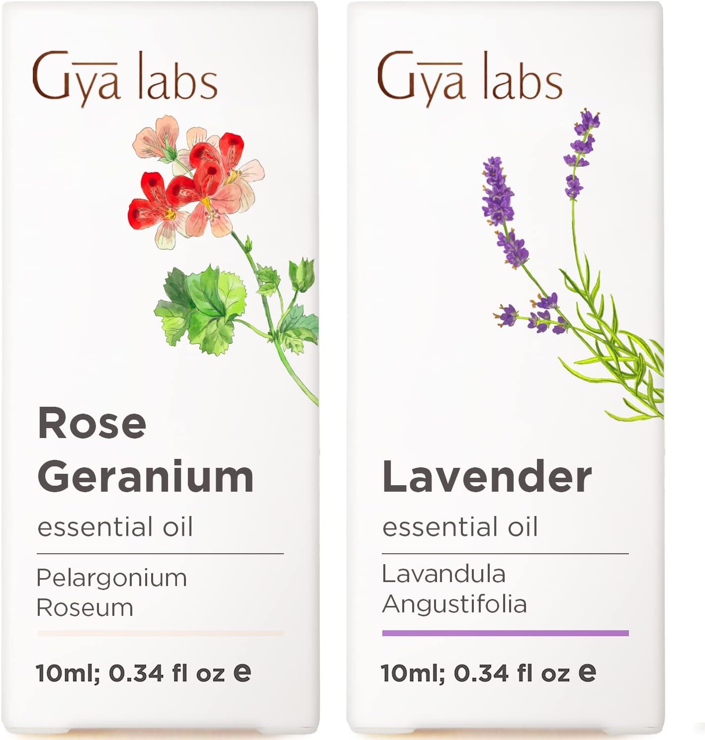 Rose Geranium Essential Oil for Skin & Lavender Essential Oil for Diffuser Set - Aromatherapy Grade Essential Oils Set - 2x0.34 fl oz - Gya Labs