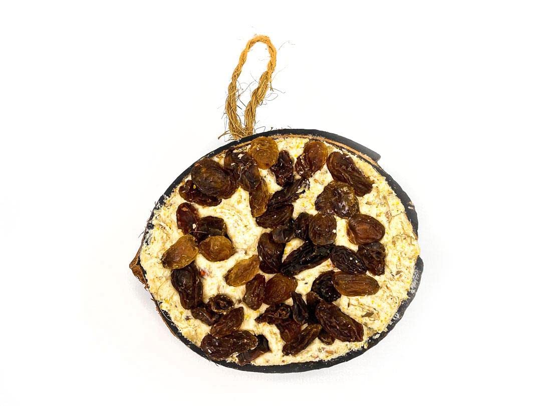 Chubby Coconut Halves Topped with Raisins, Bird Feeder Coconut Shells, for Wild Birds, Suet for Blackbirds, Woodpeckers, Starlings & Sparrows (1 Pack)