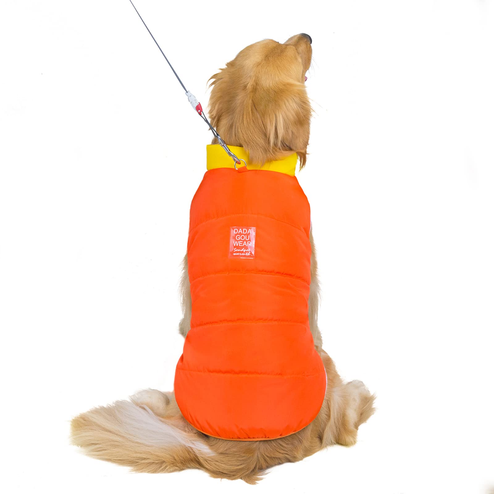 Vêtements hiver grand chien pour balades froides Golden Retriever
