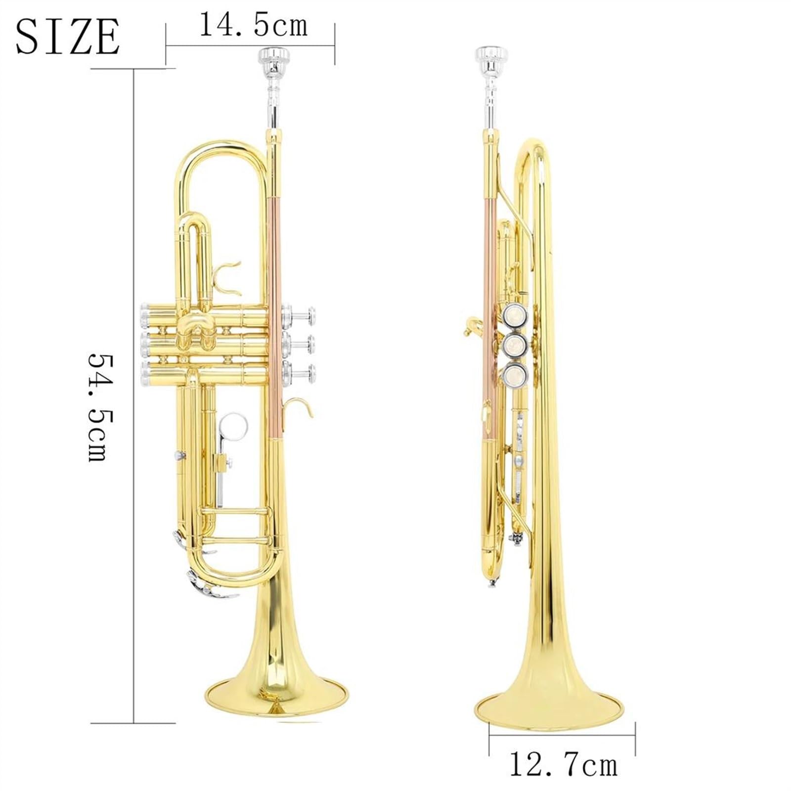 Amazon | トランペット 初心者 ゴールド Bb 標準トランペットセット