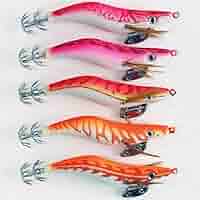 エギ 2.5号 ラトル Amazon | 2.5号 エギ ラトル入り 5本 セット ピンク/オレンジ/赤
