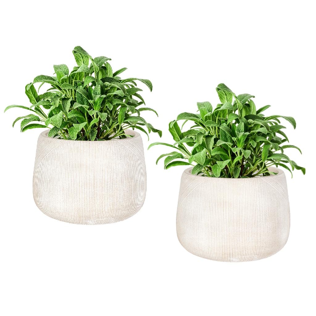 Dibor Fibre Clay Plant Pots Set of 2 Outdoor 29cm Modern Rippled Finish Flower Pot Planters Patio Doorstep Porch Tree Shrub Topiary Bush Entryway Plant Pot Clay Planters (White, Small 8.5L) — image 1