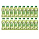Only Earth Tender Coconut Water | Not From Concentrate | No Added Sugar & Low in Calories |Packed with Electrolytes | BPA-Free Bottle | 165ml (Pack of 18) gallery image