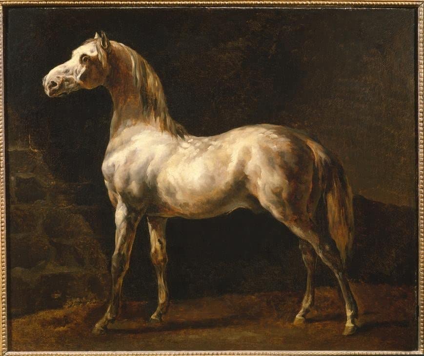 Impression prints Toile Géricault L'étalon blanc tableau salon 60x90