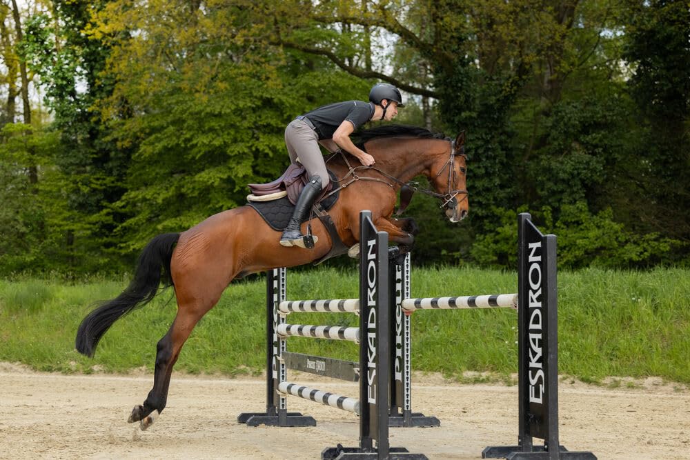 Pikeur New Rodrigo Pantalon d'équitation pour homme avec genoux Gris acier